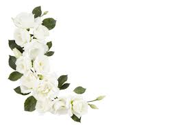 Jake Shoff Car Accident Obituary, Death